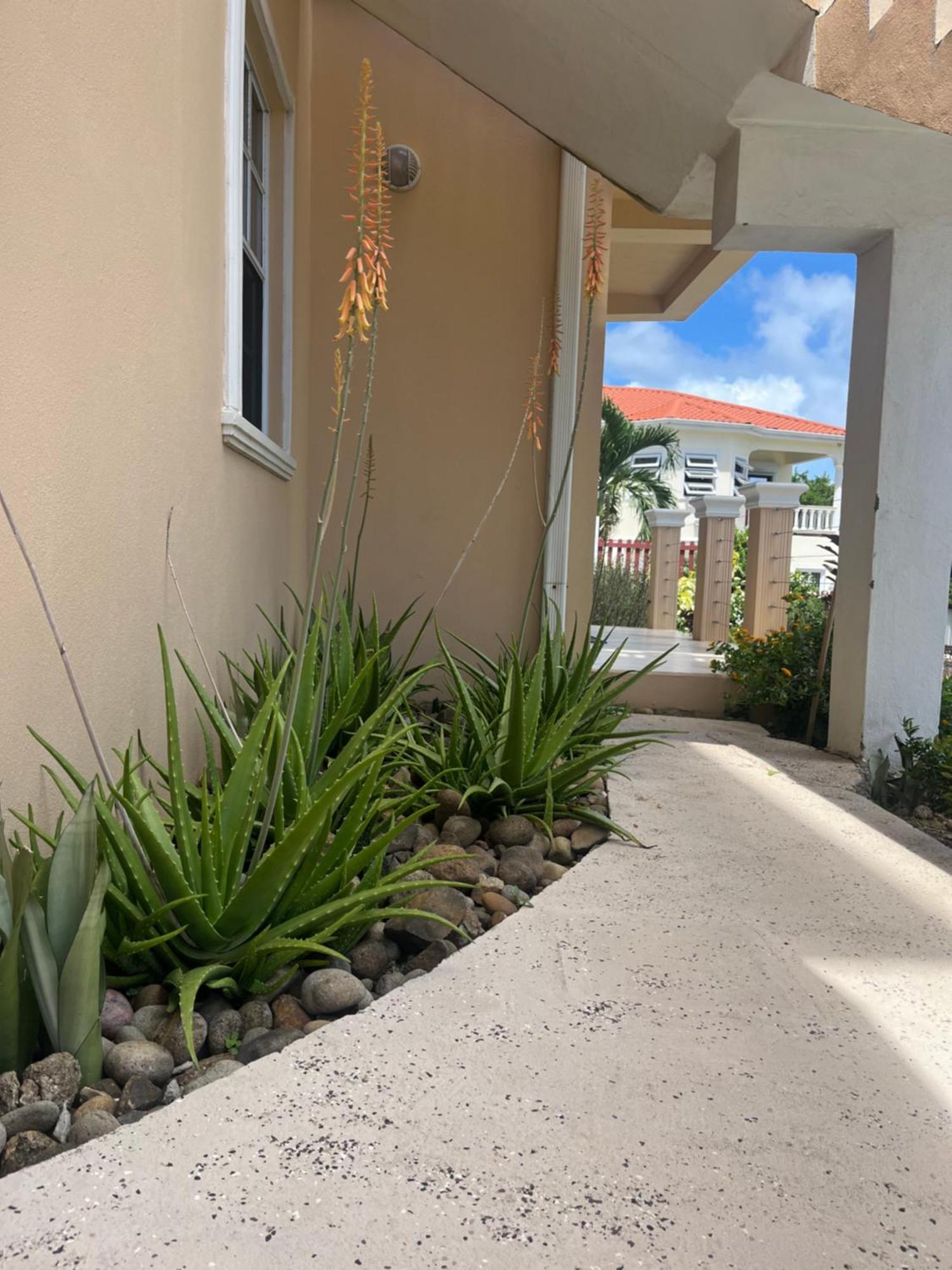 Belle Breeze Haven Apartment Gros Islet Exterior photo